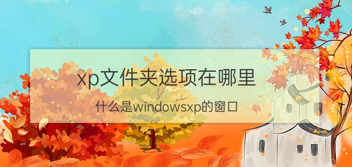 xp文件夹选项在哪里 什么是windowsxp的窗口，其组成部分有哪些？